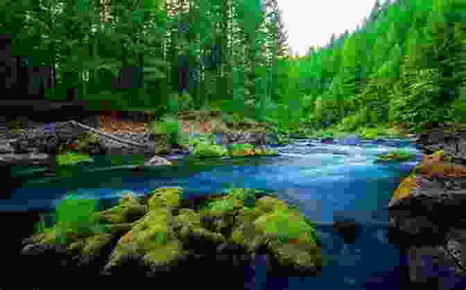 A Breathtaking Landscape From Inside The Lightning Ball, Where Vibrant Forests And Shimmering Rivers Create An Otherworldly Ambiance Inside The Lightning Ball: Scientific Study Of Lifelong UFO Experiencers