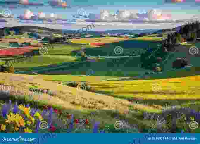 A Breathtaking Landscape Of Rolling Hills And Vibrant Wildflowers, Showcasing The Inherent Beauty Of Nature. Aesthetics And Nature (Bloomsbury Aesthetics)