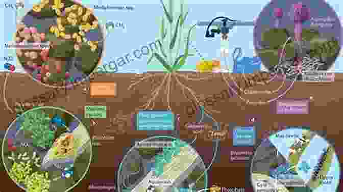 A Close Up Of Healthy Soil, Rich In Organic Matter, Teeming With Microorganisms, And Providing A Fertile Base For Plant Growth. VEGETABLES GARDENING: A COMPLETE GUIDE TO BUILD YOUR GARDEN IN A BALANCED AND SUSTAINABLE WAY ALL YEAR ROUND HOW TO PRODUCE ALL THE VEGETABLES FRUITS AND FLOWERS YOU WANT