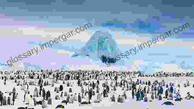 A Colony Of Emperor Penguins On The Ice Floes Of Antarctica Destination Wildlife: An International Site By Site Guide To The Best Places To Experience Endangered Rare And Fascinating Animals And Their Habitats