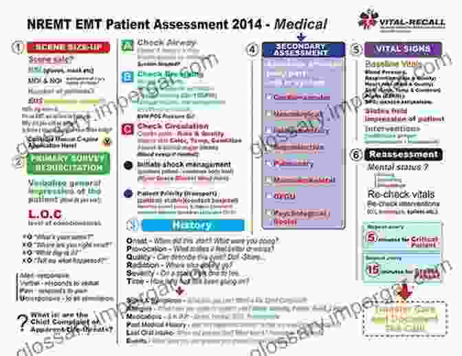 A Comprehensive Guide To Patient Assessment Skills Patient Assessment Practice Scenarios Les Hawthorne