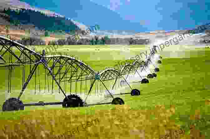 A Farmer Using A Water Efficient Irrigation System To Improve Water Use Efficiency In Food Production Improving Water And Nutrient Use Efficiency In Food Production Systems