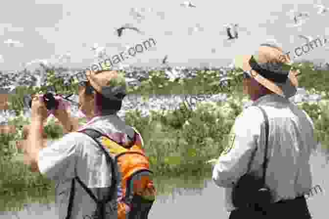 A Group Of People Looking At A Birdwatching Guide Sasol 300 Easy To See Birds In Southern Africa