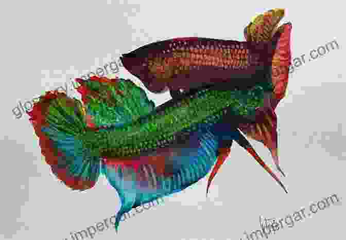 A Painting Depicting A Betta Fish In Traditional Thai Art The Betta Bible: The Art And Science Of Keeping Bettas