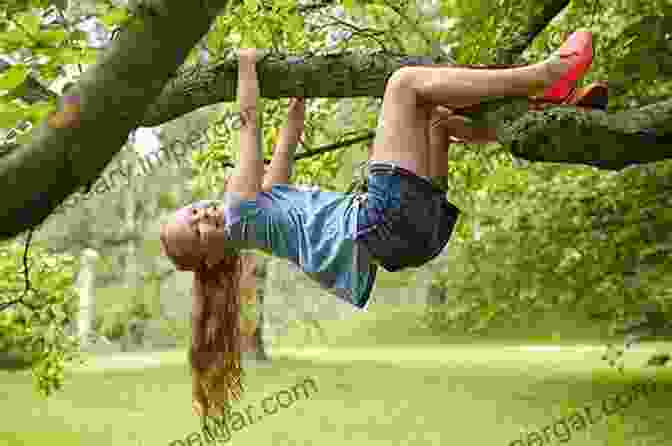 A Person Climbing A Tree In A Forest To Climb Trees (NATURE : Natural Healing 2)