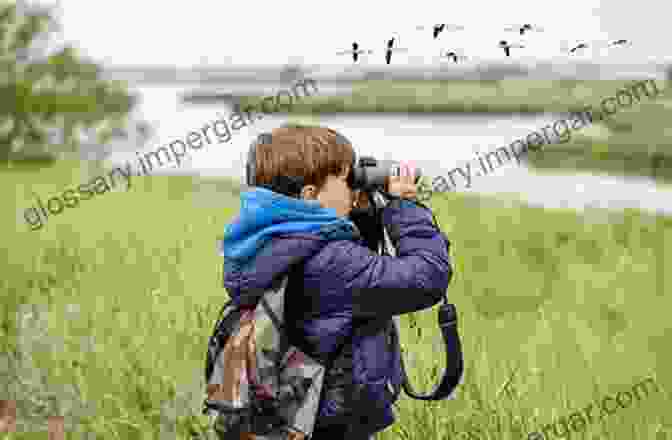 A Person Using Binoculars To Watch Birds In Southern Africa Sasol 300 Easy To See Birds In Southern Africa