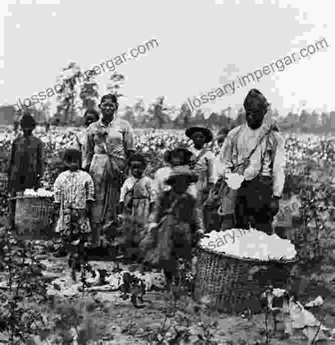 A Photograph Of African Slaves Working On A Plantation In Louisiana, Highlighting The Harsh Realities Of Slavery And Its Impact On Racial Hierarchies. Natchez Country: Indians Colonists And The Landscapes Of Race In French Louisiana (Early American Places Ser 10)