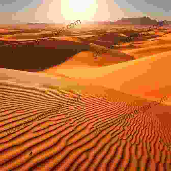 A Vast Desert Olive Grove Stretching As Far As The Eye Can See, With Rows Of Flourishing Olive Trees Under A Clear Blue Sky Desert Olive Oil Cultivation: Advanced Bio Technologies