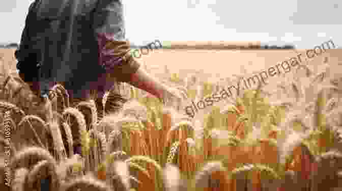 A Vast Field Of Organic Grain, Swaying Gently In The Breeze The Organic Grain Grower: Small Scale Holistic Grain Production For The Home And Market Producer