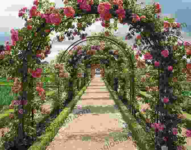 A Wide Shot Of A Rose Garden ARTSY ROSES AGAINST GLITTER FRAMES Divine Photography (GRACE DIVINE PHOTOGRAPHY PHOTOGRAPHIC IMAGES DIGITAL ART IN A BOOK)