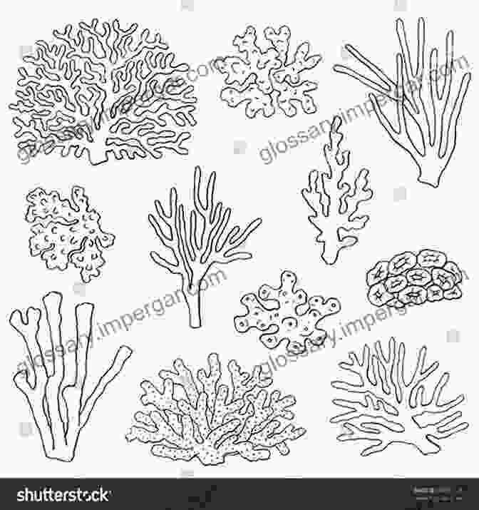 Abstract Coral Design In Black And White Barriere Coralline Oceaniche Disegni In Bianco E Nero Stile Arte Moderna Dell Artista Grace Divine (LIBRI IN ITALIANO E IN INGLESE IN ITALIAN AND IN ENGLISH) (Italian Edition)