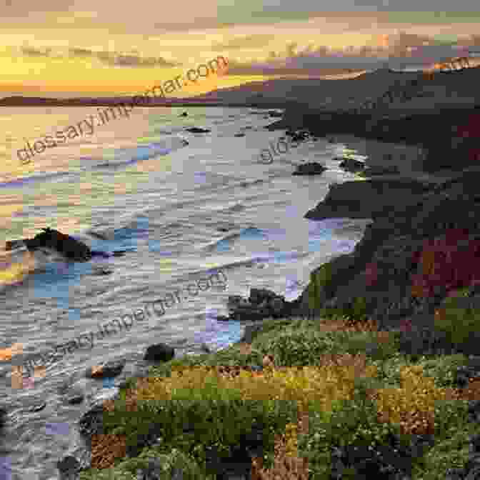 Cambria's Coastal Vistas Cambria (Images Of America) Susan Burton