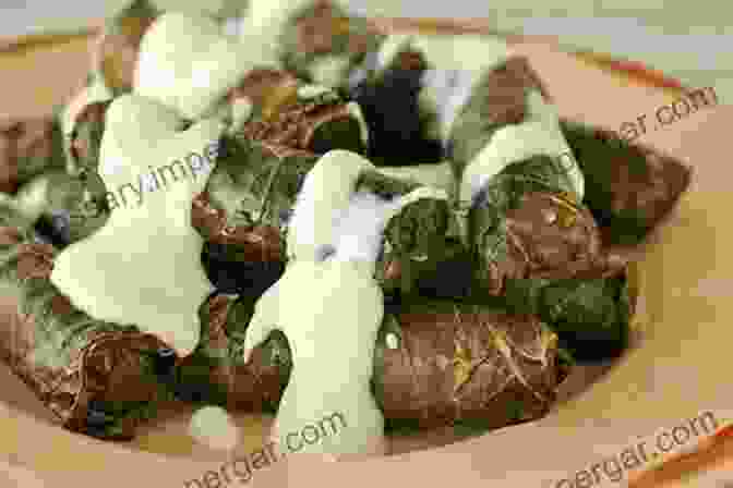 Delicate Dolmades Stuffed With Rice And Meat Greek Cookbook Series: Delicious Greek Appetizers: Delicious Homemade Greek Appetizer Recipe One Can Make From Scratch With Detailed Instructions For (General Cookbook Healthy Appetizers