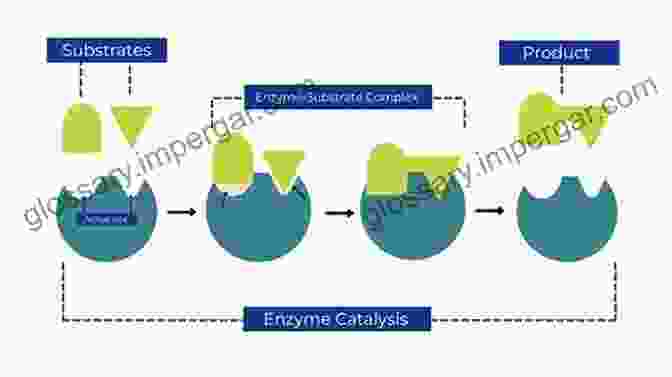 Enzyme Catalyzed Reactions In The Environment Bioinspired Chemistry: From Enzymes To Synthetic Models (Series On Chemistry Energy And The Environment 5)