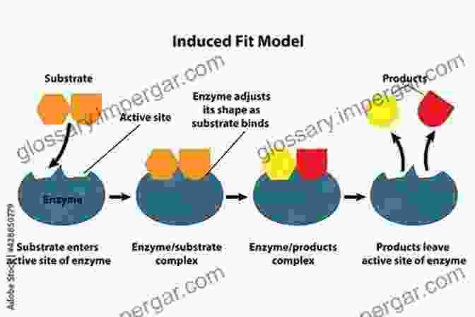 Enzyme Chemistry And Synthetic Models In The Future Bioinspired Chemistry: From Enzymes To Synthetic Models (Series On Chemistry Energy And The Environment 5)