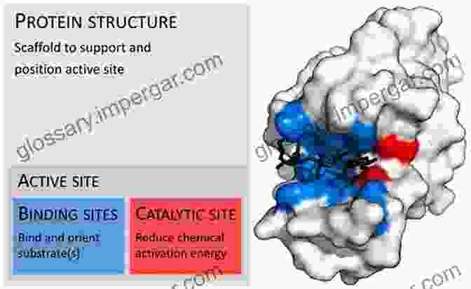 Enzyme Structure With Active Site Highlighted Bioinspired Chemistry: From Enzymes To Synthetic Models (Series On Chemistry Energy And The Environment 5)