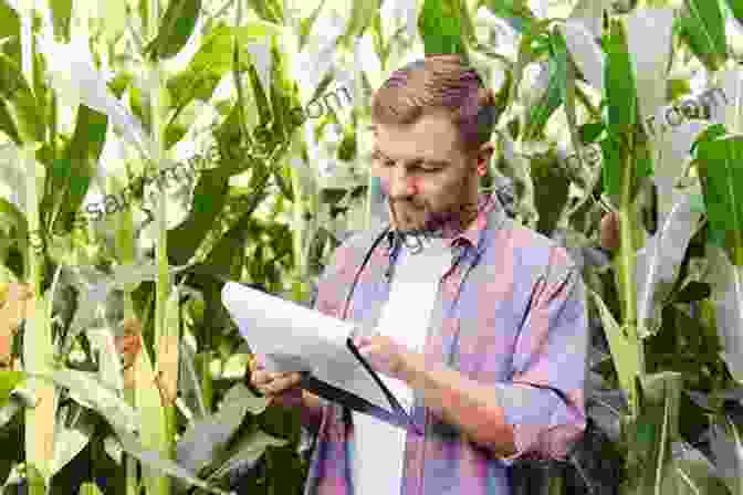 Farmer Inspecting A Field Of Cut Flowers The Flower Farmer S Year: How To Grow Cut Flowers For Pleasure And Profit