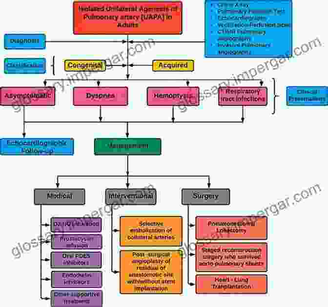 Flowchart Illustrating A Differential Diagnosis Process History And Clinical Examination At A Glance