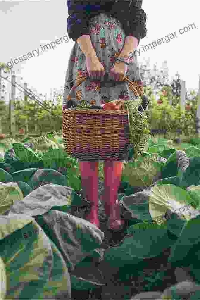 From Garden Plot To Kitchen Pot Bundle Cover Image, Featuring A Woman Holding A Basket Of Fresh Produce Beside A Slow Cooker Homesteading Essentials (1):From Garden Plot To Kitchen Pot 2 Bundle Modern Homesteading Slow Cooking Heaven