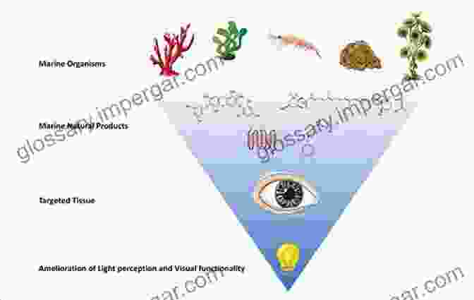 Image Showcasing Various Natural Products Such As Plants, Fungi, And Marine Organisms Drug Discovery In Africa: Impacts Of Genomics Natural Products Traditional Medicines Insights Into Medicinal Chemistry And Technology Platforms In Pursuit Of New Drugs