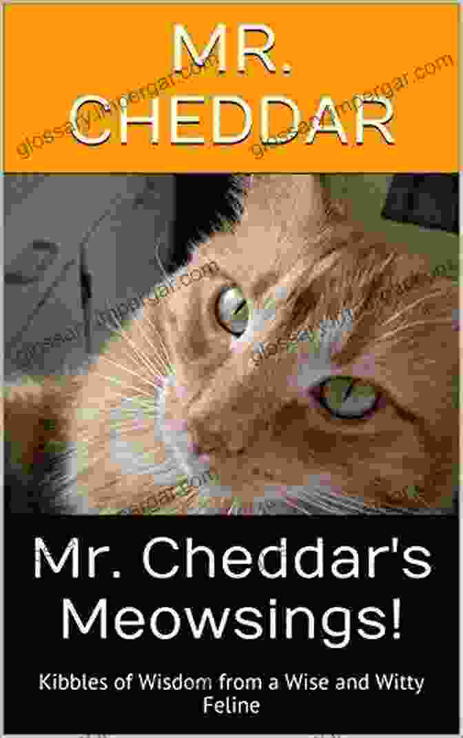 Kibbles Of Wisdom From Wise And Witty Felines Book Cover Mr Cheddar S Meowsings : Kibbles Of Wisdom From A Wise And Witty Feline