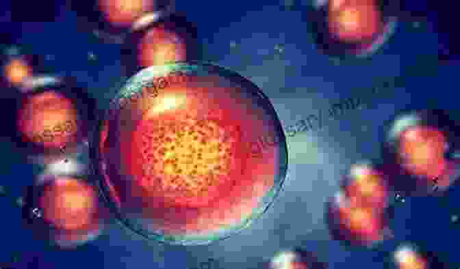 Muscle Stem Cells And Precursors Under A Microscope Vertebrate Myogenesis: Stem Cells And Precursors