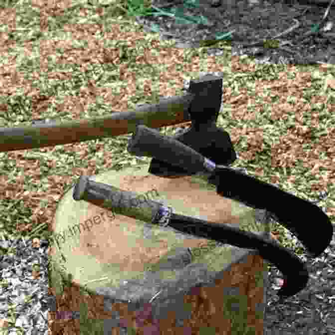 Person Engaged In Coppice Crafting, Surrounded By Tools And Materials Coppicing And Coppice Crafts: A Comprehensive Guide