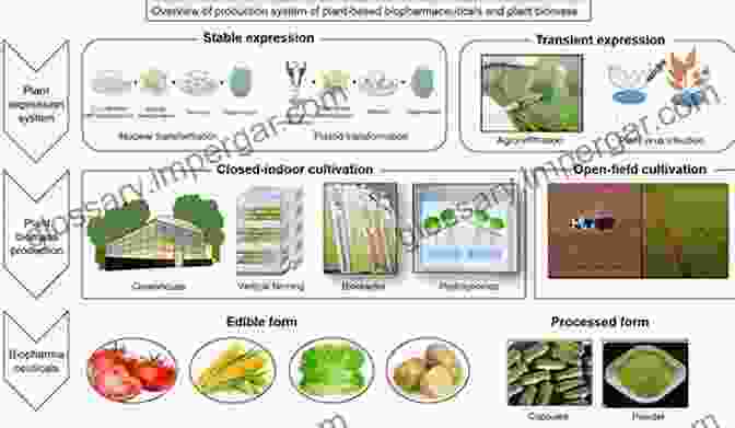 Synthesis Of Phytonanomaterials: Plants As Biofactories Advances In Phytonanotechnology: From Synthesis To Application