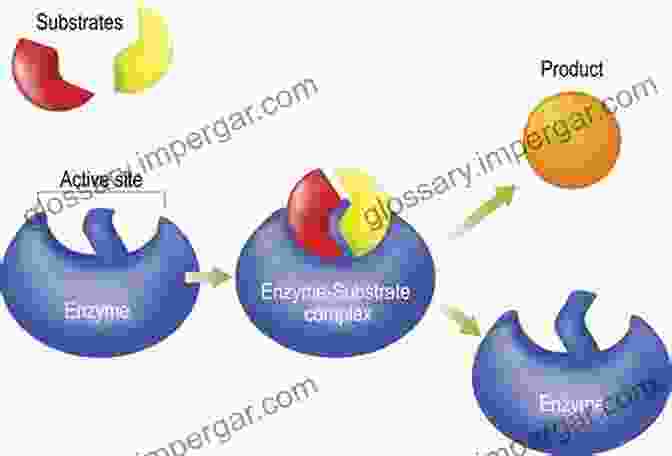 Synthetic Model Of An Enzyme Active Site Bioinspired Chemistry: From Enzymes To Synthetic Models (Series On Chemistry Energy And The Environment 5)