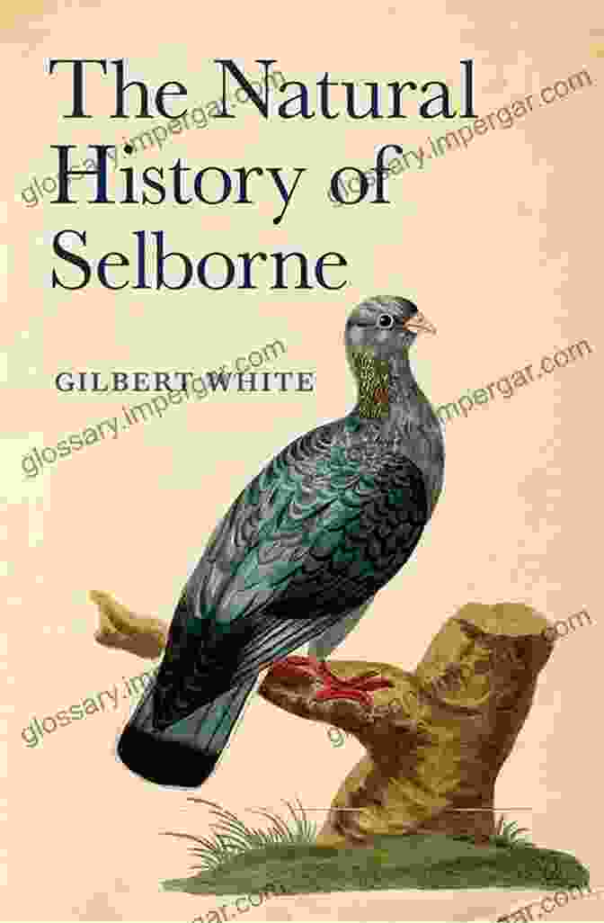 The Natural History Of Selborne Oxford World Classics Hardback Collection The Natural History Of Selborne (Oxford World S Classics Hardback Collection)