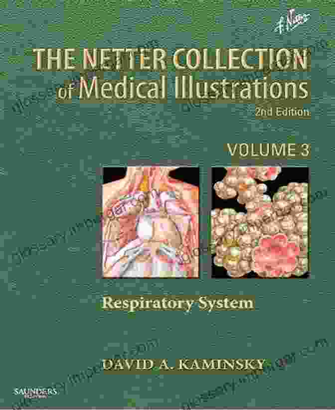 The Netter Collection Of Medical Illustrations Have Revolutionized Medical Education And Patient Understanding The Netter Collection Of Medical Illustrations: Musculoskeletal System Volume 6 Part III Musculoskeletal Biology And Systematic Musculoskeletal Disease (Netter Green Collection)