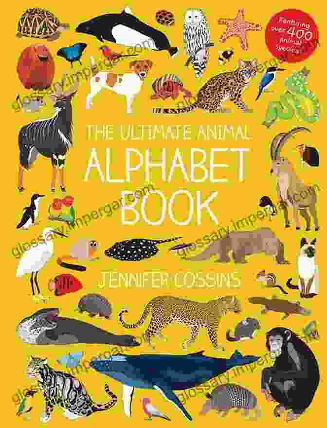 To Animals ABC Book Cover Featuring A Vibrant Illustration Of A Diverse Group Of Animals A To Z Animals ABC: Alphabet Baby Children Toddler Children S Alphabet