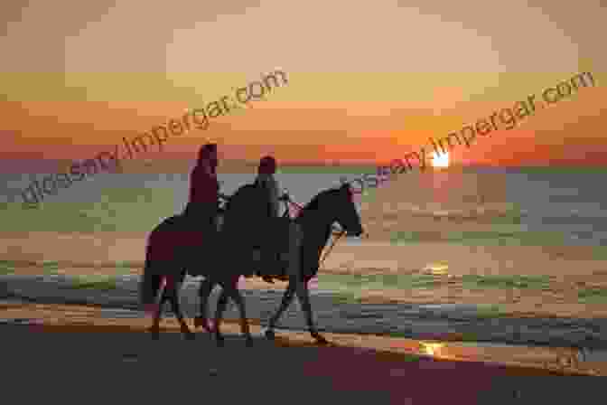 Tom And Kaye Riding Horses At Sunrise Eastbound Two Equids In Tow: Memoirs Of Our Military Mandated Cross Country Move With Two Dogs A Horse A Donkey