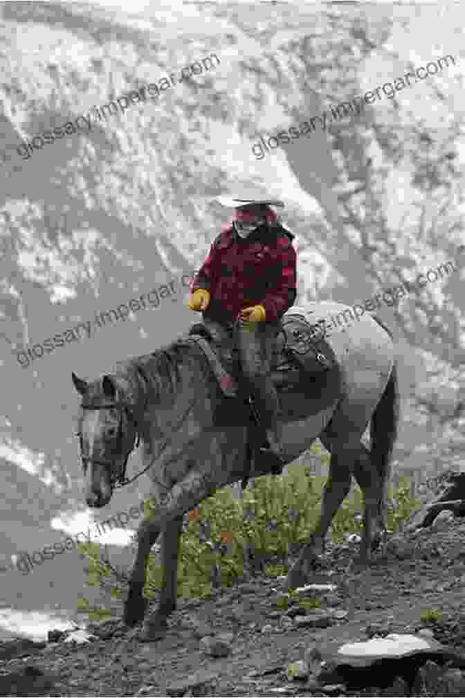 Tom And Kaye Riding Horses Through The Mountains Eastbound Two Equids In Tow: Memoirs Of Our Military Mandated Cross Country Move With Two Dogs A Horse A Donkey