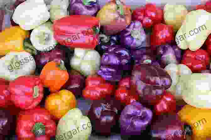 Vibrant Capsicum Peppers In Various Colors And Shapes, Showcasing Their Diversity And Beauty. Capsicum: The Genus Capsicum (Medicinal And Aromatic Plants Industrial Profiles 33)