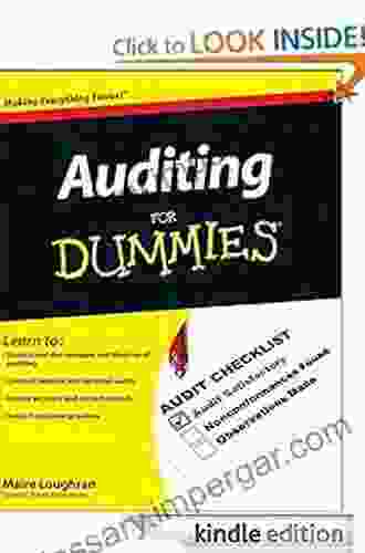 Auditing For Dummies Maire Loughran