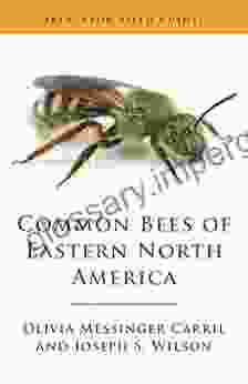 Common Bees Of Eastern North America (Princeton Field Guides 151)