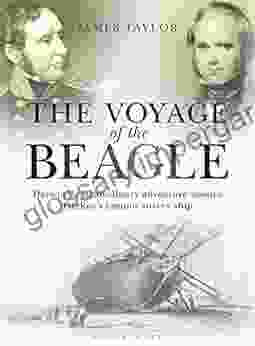 The Voyage Of The Beagle: Darwin S Extraordinary Adventure Aboard FitzRoy S Famous Survey Ship