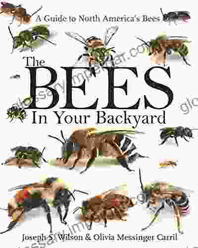 The Bees In Your Backyard: A Guide To North America S Bees