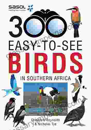 Sasol 300 easy to see Birds in Southern Africa