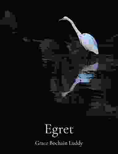 Egret Grace Bochain Luddy