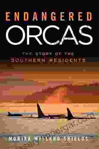 Endangered Orcas: The Story Of The Southern Residents