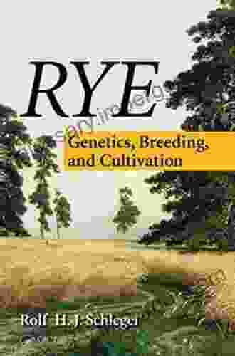 Rye: Genetics Breeding and Cultivation