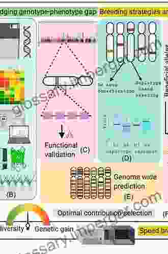 Genetics Genomics And Breeding Of Soybean (Genetics Genomics And Breeding Of Crop Plants)