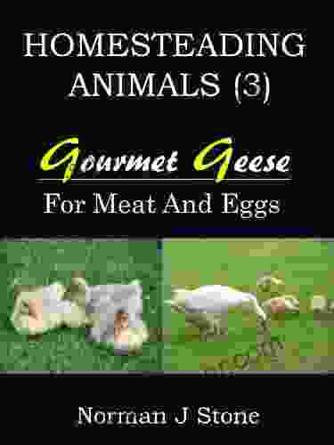 Homesteading Animals (3): Gourmet Geese Raising Geese For Meat Eggs and Feather Pillows (Hobby Farm Animals)