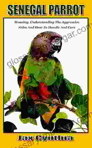 SENEGAL PARROT: Housing Understanding The Aggressive Sides And How To Handle And Care