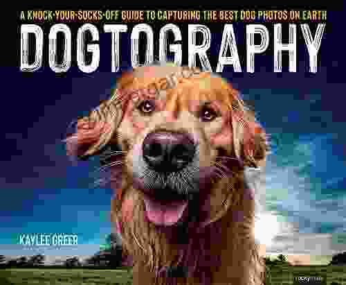 Dogtography: A Knock Your Socks Off Guide To Capturing The Best Dog Photos On Earth