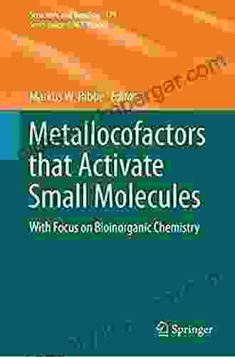 Metallocofactors That Activate Small Molecules: With Focus On Bioinorganic Chemistry (Structure And Bonding 179)