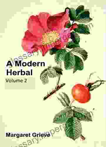 A Modern Herbal (Volume 2) James W Robinson