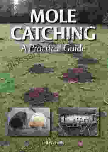 Mole Catching: A Practical Guide